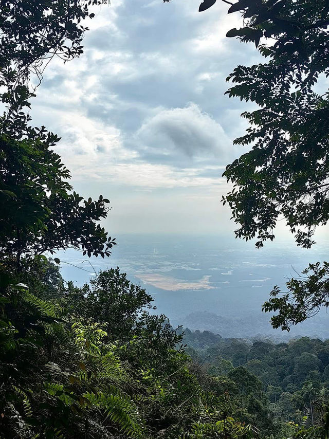 「柔佛隱藏版打卡山丘。」 「柔佛隱藏版打卡山丘。」
