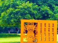 Xiuhu Park: The Heart of Yiwu’s City Life