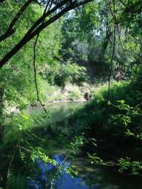 Houston Audubon – Texas
