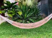 🏡🌿 สบายดี เฮาส์…ที่พักอบอุ่นใจกลางน่าน 🌿🏡