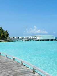 Amilla Maldives Resort & Residences🌴🇲🇻✨