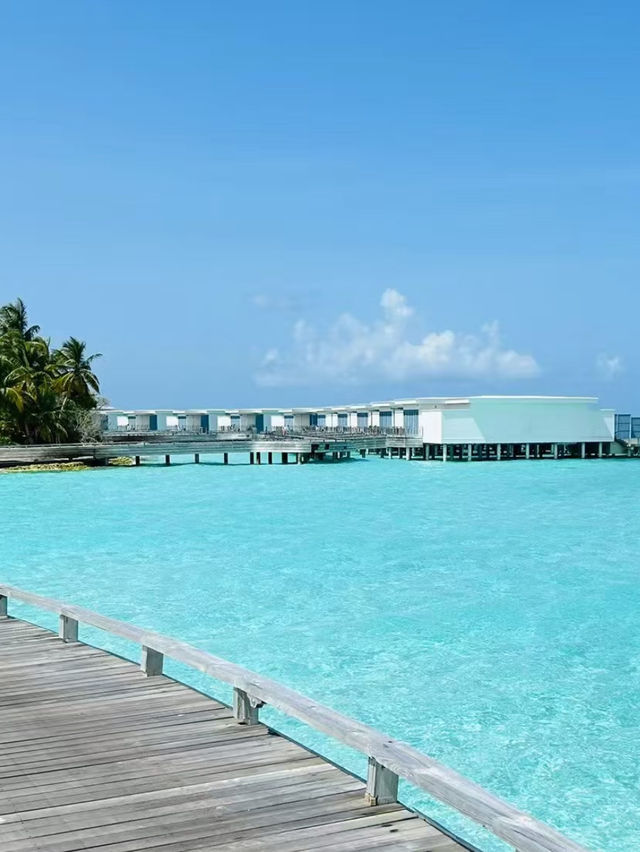 Amilla Maldives Resort & Residences🌴🇲🇻✨
