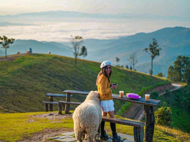 อาข่า ฟาร์มวิลล์ ( Akha FarmVille)