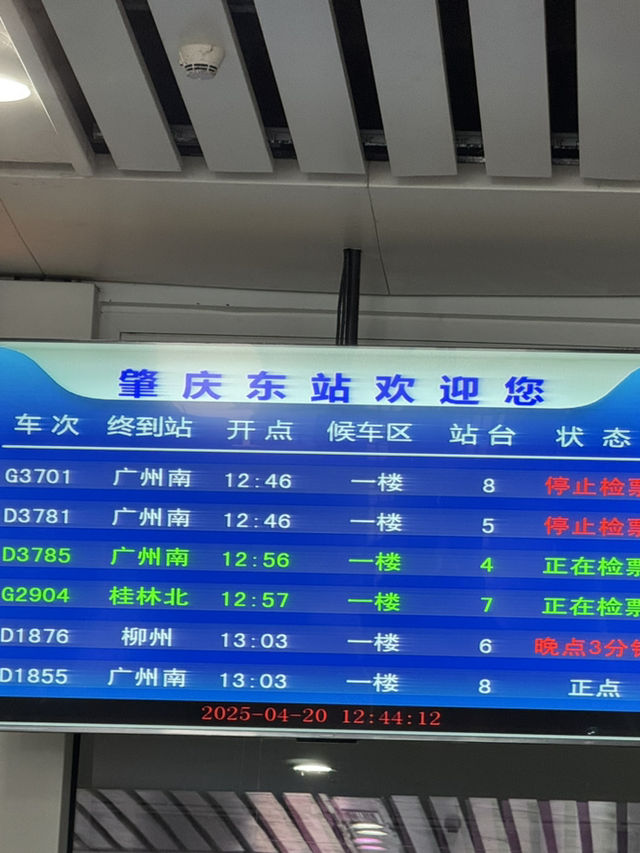 感受神級養肺之旅，在鼎湖深呼吸
