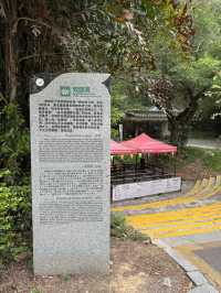 感受神級養肺之旅，在鼎湖深呼吸