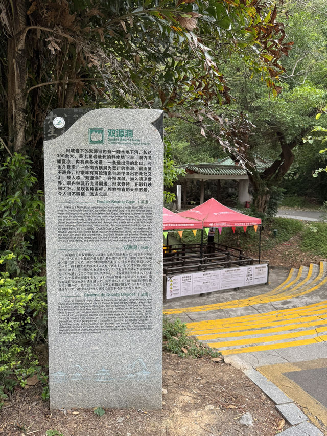 感受神級養肺之旅，在鼎湖深呼吸