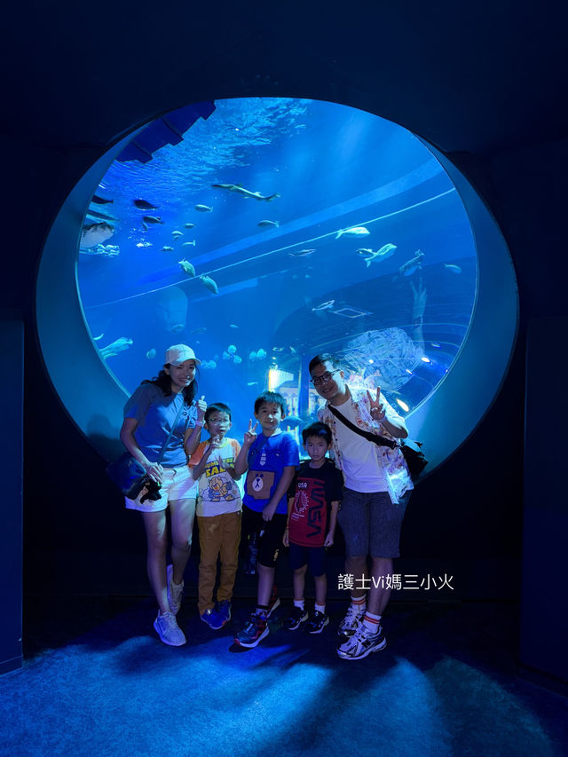《沖繩親子景點| DMM水族館》