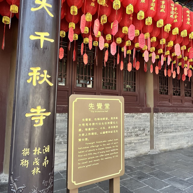 🕰 Day Trip in Xi’an — From Tang Dynasty Heritage to Modern Lights