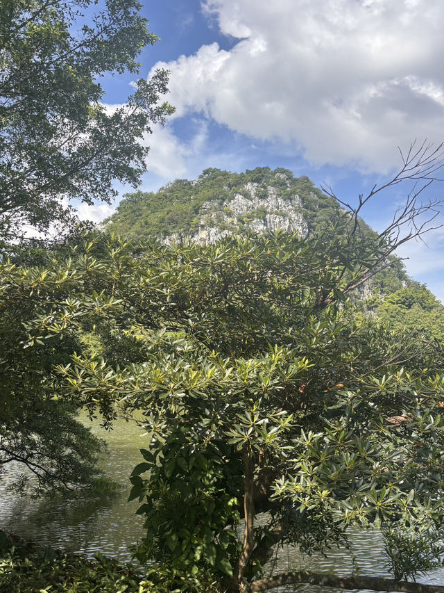Seven Star Crags: Zhaoqing’s Jaw-Dropping Views 🌟