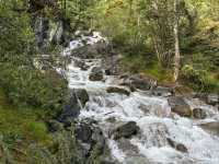 อุทยานย่าติง
