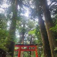 How to Nail Your Hakone Shrine Visit 🎴✨