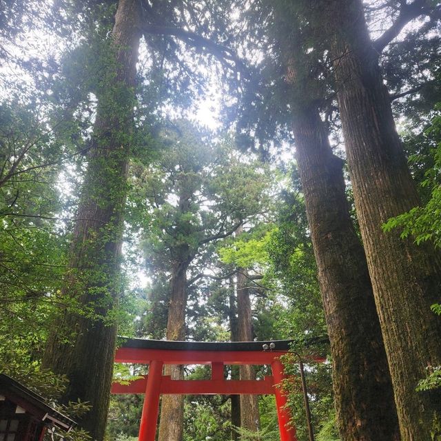 How to Nail Your Hakone Shrine Visit 🎴✨