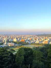 江戸時代以前の天守が残る松山城 