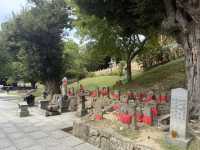 奈良公園