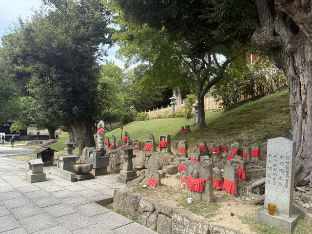 奈良公園