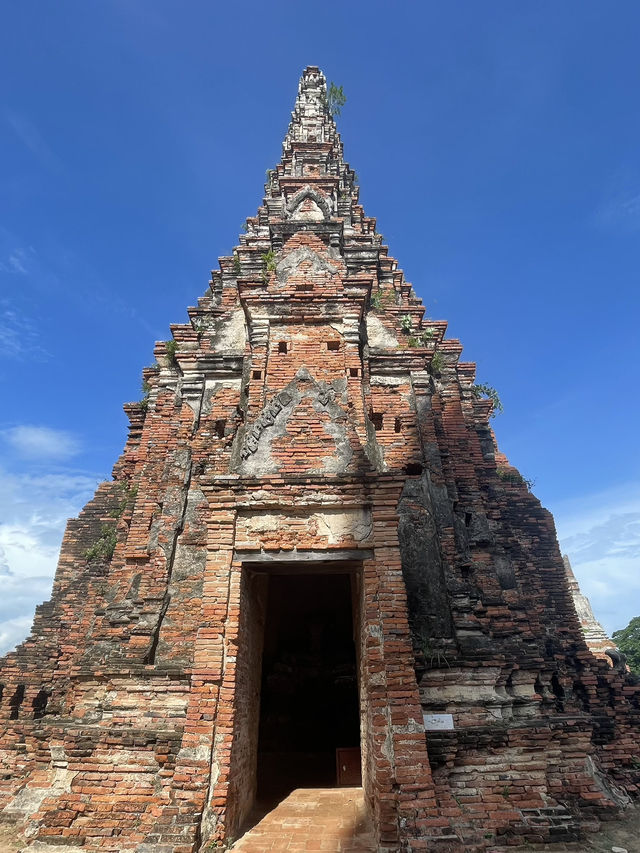 バンコクから日帰りでアユタヤの寺院を見に