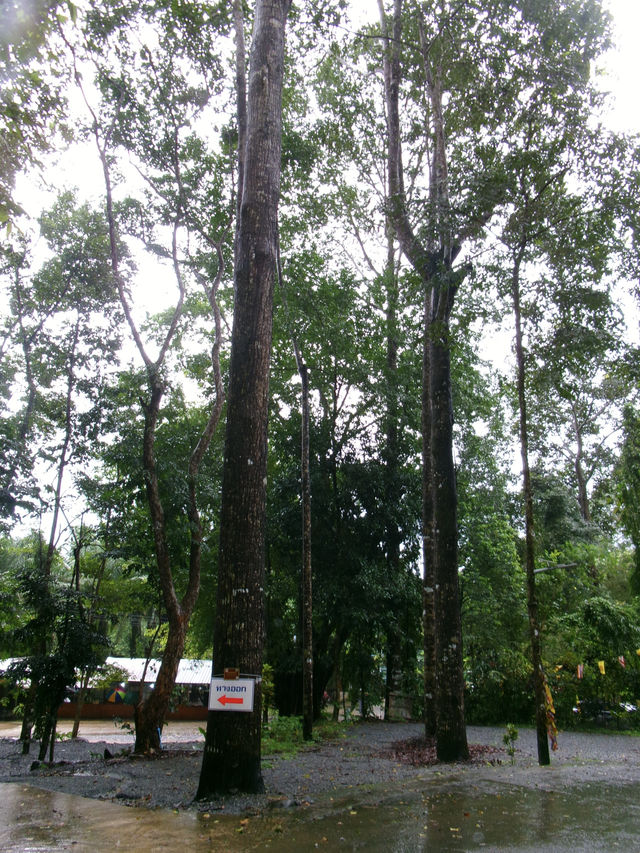 เที่ยววัดเขาบรรจบ ช่วงหน้าฝน🌧️