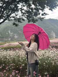 📍 단양 감성여행 코스