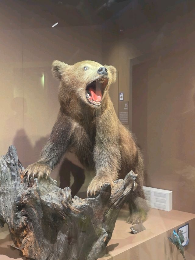 🐘 사라진 생명, 그리고 지금을 사는 이들 — 포유류 전시