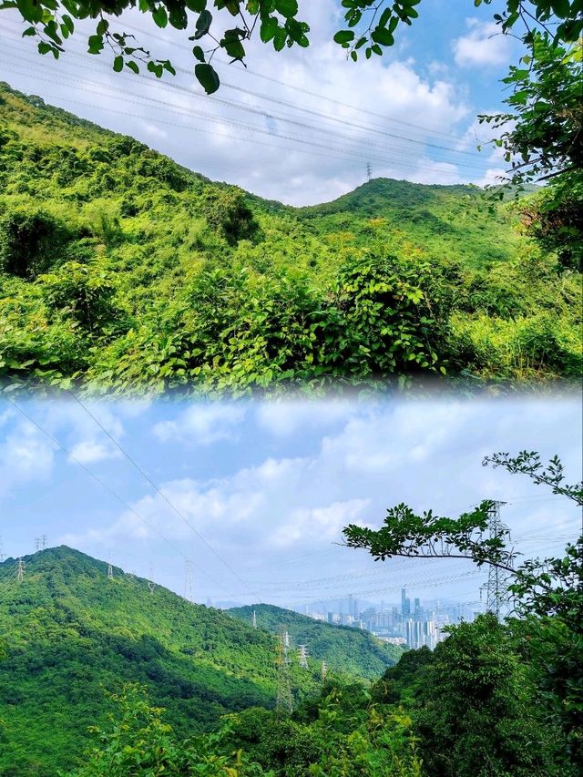城市遠足必去山林路線🌲