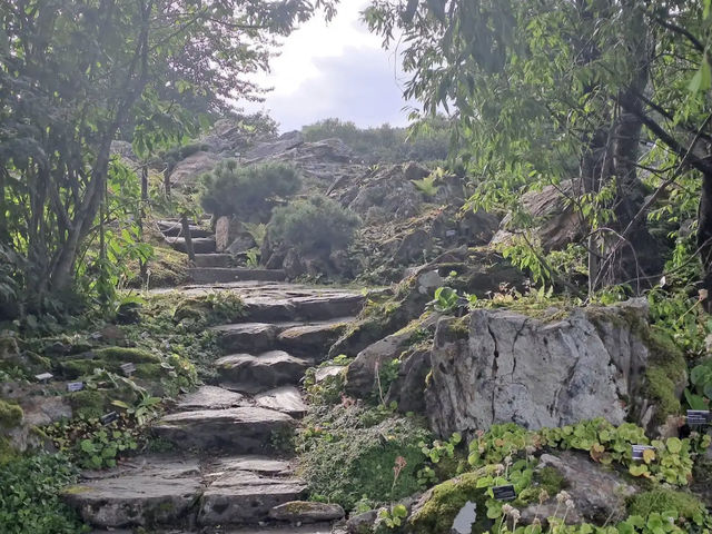 Arctic–Alpine Botanic Garden