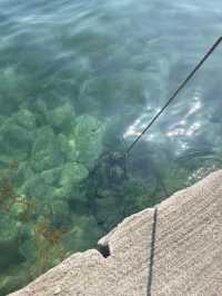 【京都】伊根の舟屋|日本一美しい街