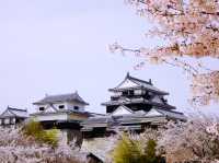 Sky Fortress of Shikoku: My Solo Visit to Matsuyama Castle