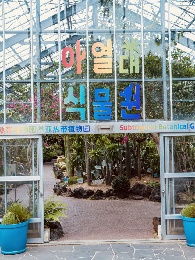 A Tribute to Jeju's Folk Heritage A Tribute to Jeju's Folk Heritage