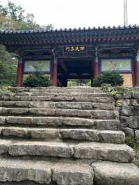아름다운 계곡길을 지나 🏞️
