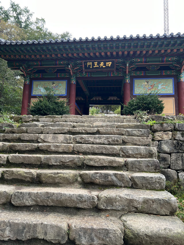 아름다운 계곡길을 지나 🏞️