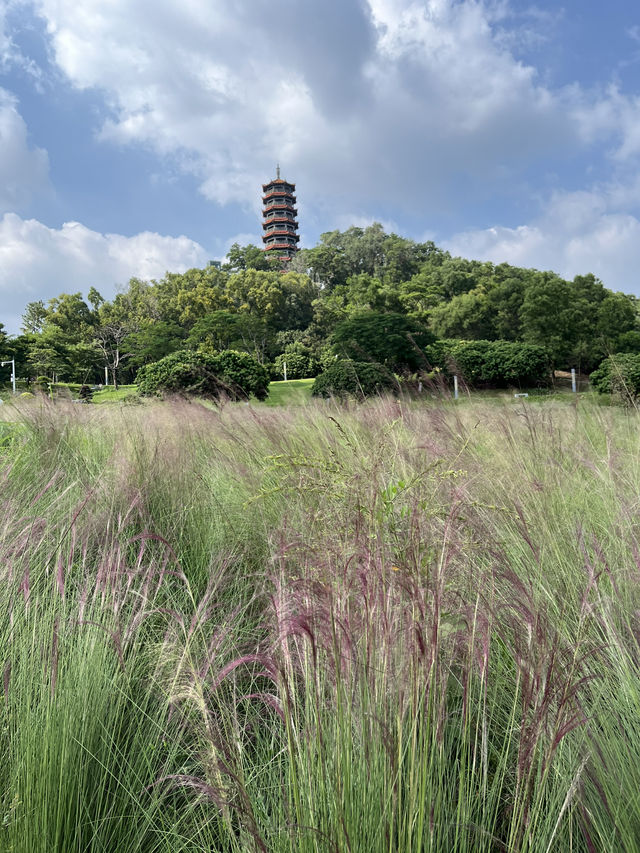深圳秘境探索紅花山公園🌾