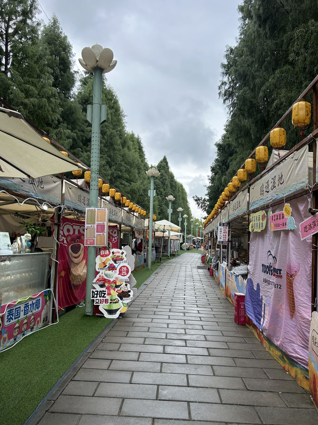 Kunming Wetlands🌧️  