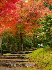 水車小屋の奥の紅葉のグラデーションが絶景