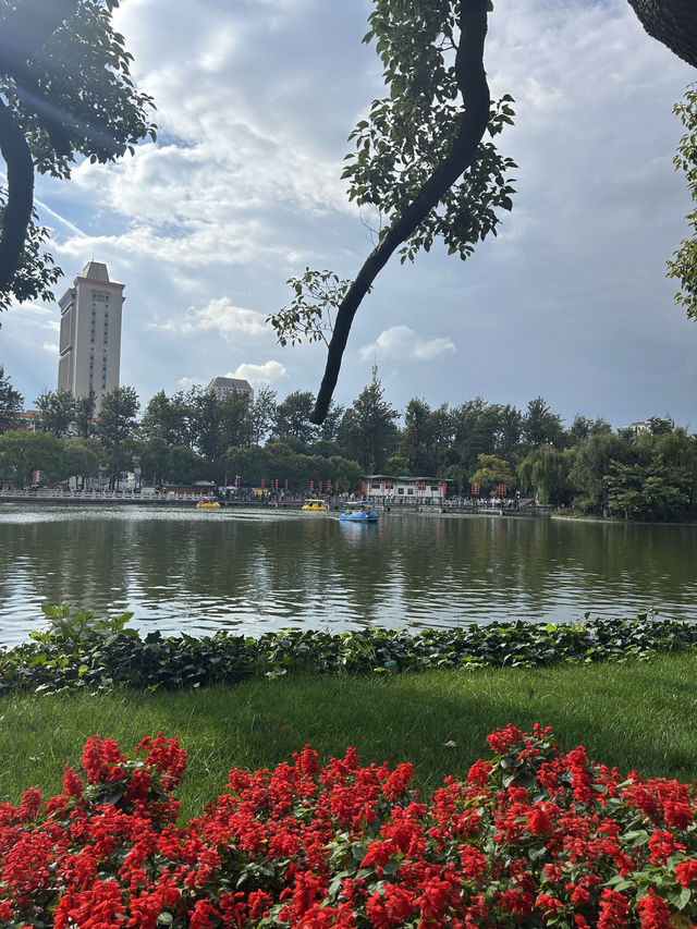 Green Lake Serenity🌳