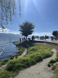 Erhai Lake Loop🚲