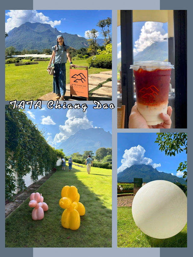 💯TATA Chiang Dao 💯TATA Chiang Dao