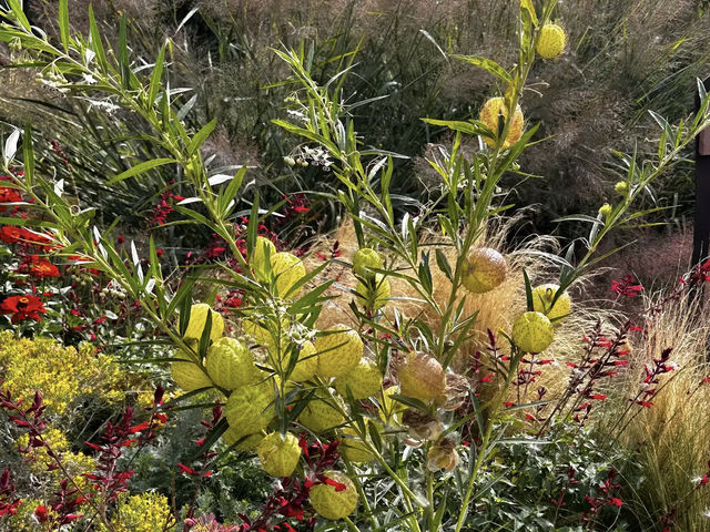 Denver Botanic Gardens