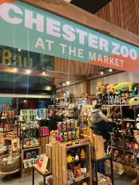 Zoo at Chester Market: A Whimsical Welcome to the Wild
