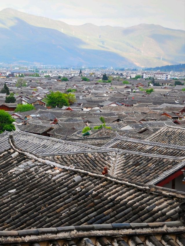 🏚️ : Lijiang Old Town เที่ยวจีน 🏚️ : Lijiang Old Town เที่ยวจีน