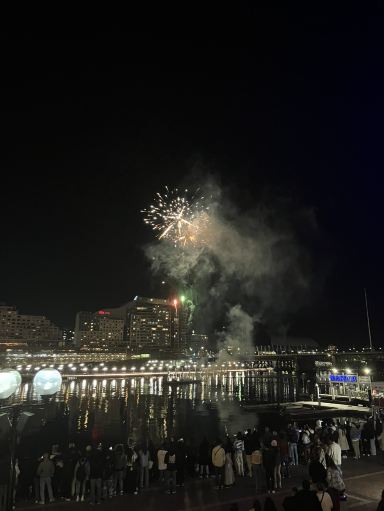 オーストラリア・シドニー】夜空に広がる光の祭典「ダーリング