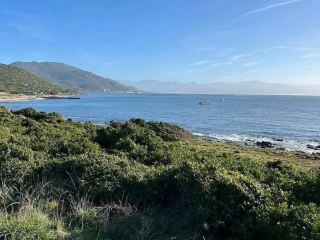 A Wild Beach with Effortless Coastal Charm