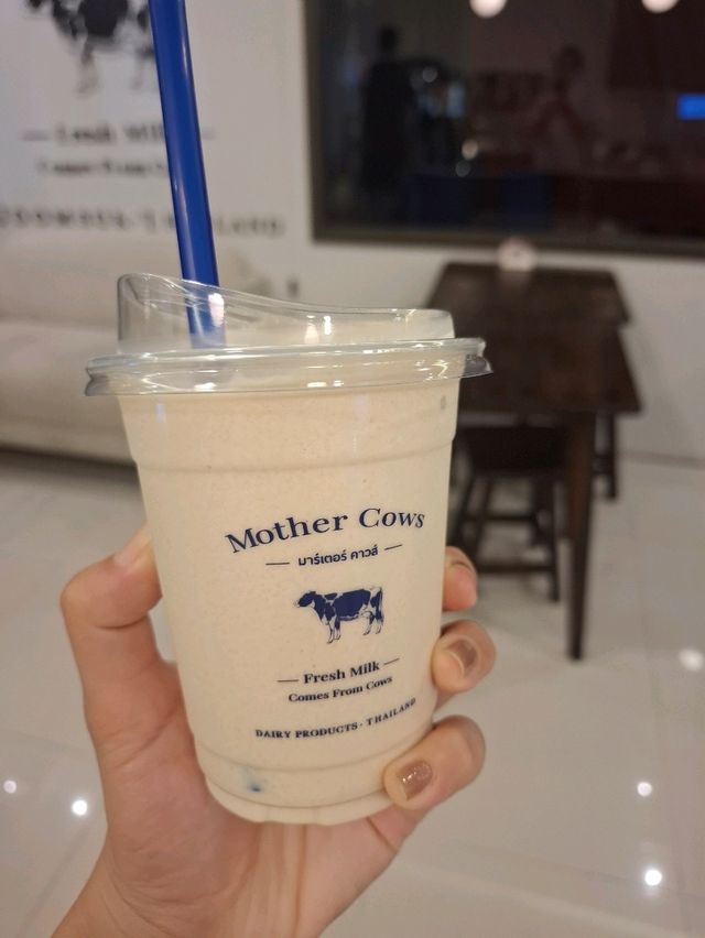 🐮 Mother Cow ร้านนมอบอุ่นหัวใจ เหมือนย้อนวัย