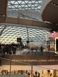 로마 국제공항, 이탈리아 여행의 관문이 되는 허브