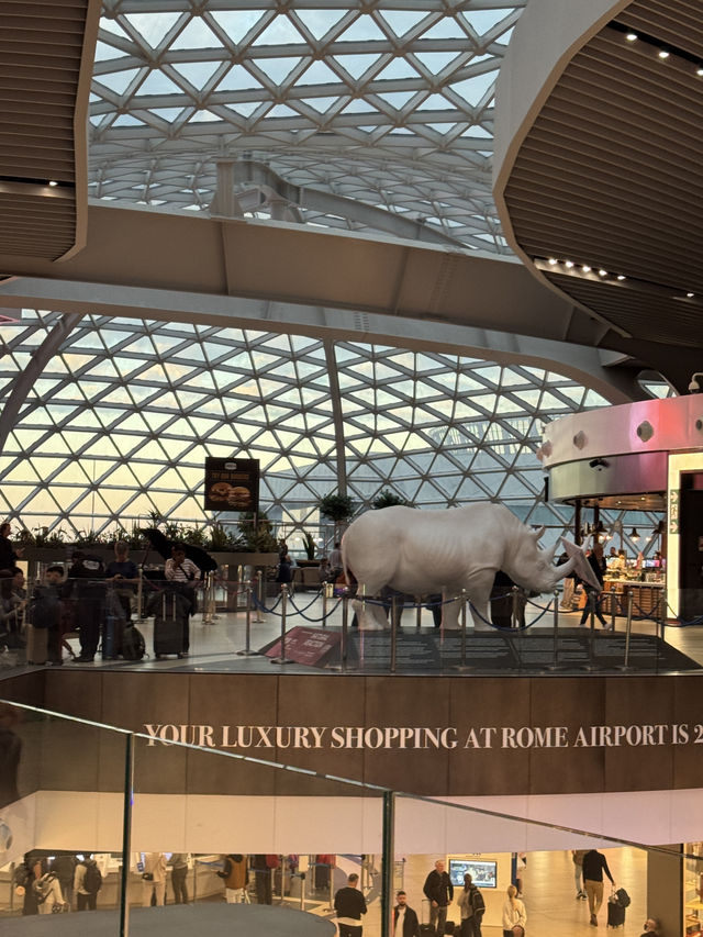 로마 국제공항, 이탈리아 여행의 관문이 되는 허브