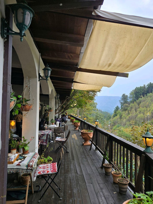 🤎가평 릴리 숲뷰가 아름다운 가을 추천🧡