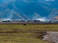 🐎 광활한 초원, 나파하이 – 바람이 가장 먼저 말을 거는 곳