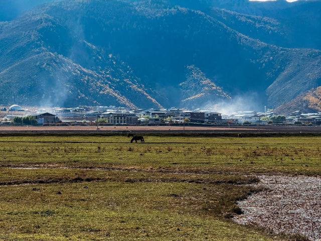 🐎 광활한 초원, 나파하이 – 바람이 가장 먼저 말을 거는 곳