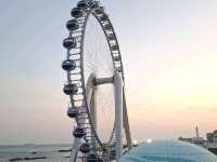 Polar Ocean Park โลกใต้ทะเลสุดฟินที่ชิงเต่า🐧❄️