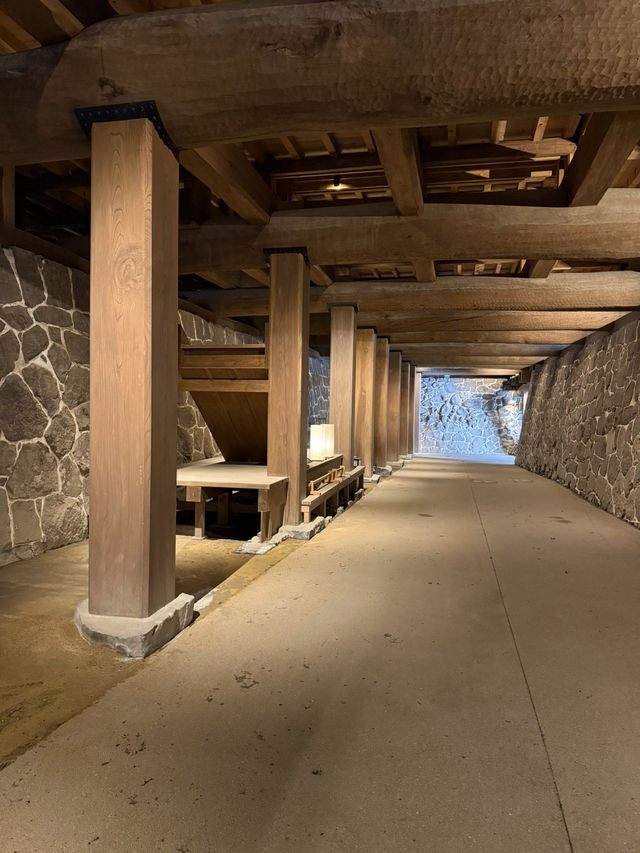 日本12天守 熊本城