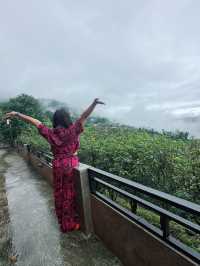 เที่ยวดอยแม่สองเชียงรายกันคะ